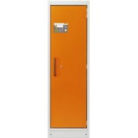 Armoire anti-feu PROline 6/20 F90, 1 porte droite - CEMO