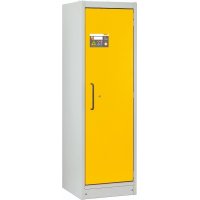 Armoire anti-feu PROline 6/20 F90, 1 porte droite - CEMO